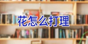 花怎么打理