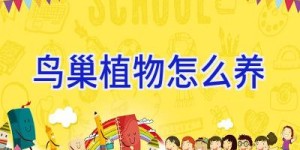 鸟巢植物怎么养