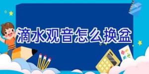 滴水观音怎么换盆