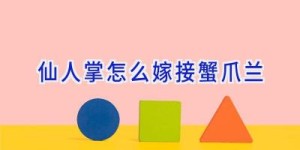 仙人掌怎么嫁接蟹爪兰