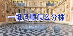 一帆风顺怎么分株