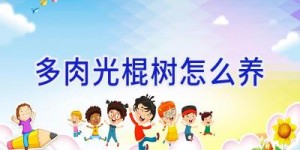 多肉光棍树怎么养