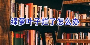 绿萝叶子烂了怎么办