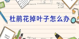 杜鹃花掉叶子怎么办