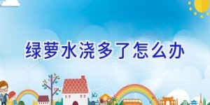 绿萝水浇多了怎么办