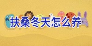 扶桑冬天怎么养