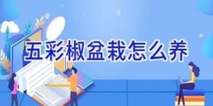五彩椒盆栽怎么养