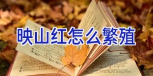 映山红怎么繁殖