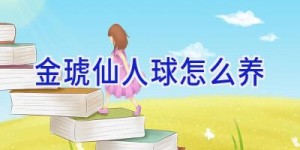 金琥仙人球怎么养