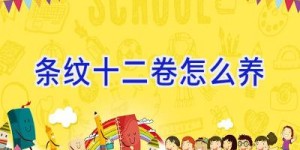 条纹十二卷怎么养