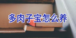 多肉子宝怎么养