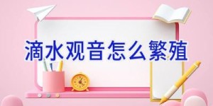 滴水观音怎么繁殖