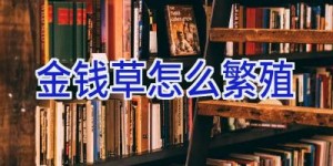 金钱草怎么繁殖