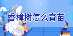 香樟树怎么育苗