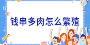 钱串多肉怎么繁殖