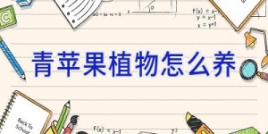 青苹果植物怎么养