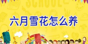 六月雪花怎么养