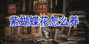 紫蝴蝶花怎么养