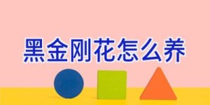 黑金刚花怎么养