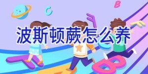 波斯顿蕨怎么养