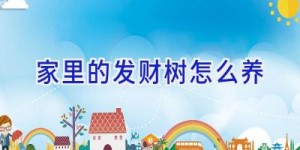 家里的发财树怎么养