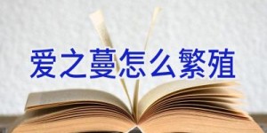 爱之蔓怎么繁殖