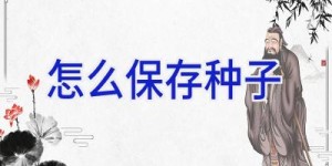 怎么保存种子
