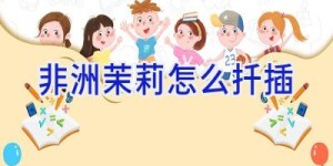 非洲茉莉怎么扦插