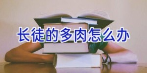 长徒的多肉怎么办