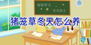 猪笼草冬天怎么养