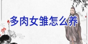 多肉女雏怎么养