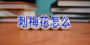 刺梅花怎么