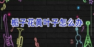 栀子花黄叶子怎么办