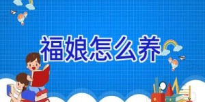 福娘怎么养