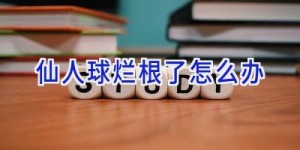 仙人球烂根了怎么办