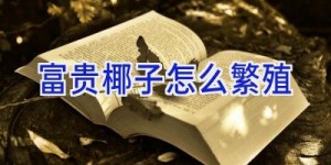 富贵椰子怎么繁殖