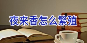 夜来香怎么繁殖