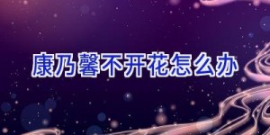 康乃馨不开花怎么办
