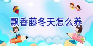 飘香藤冬天怎么养