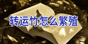 转运竹怎么繁殖