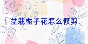 盆栽栀子花怎么修剪