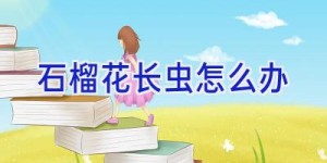 石榴花长虫怎么办