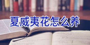 夏威夷花怎么养