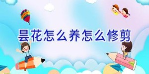 昙花怎么养怎么修剪