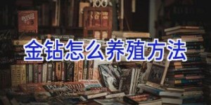 金钻怎么养殖方法