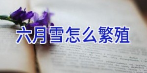 六月雪怎么繁殖