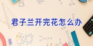 君子兰开完花怎么办