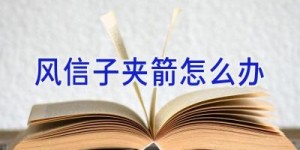 风信子夹箭怎么办