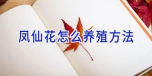 凤仙花怎么养殖方法