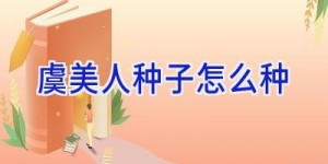 虞美人种子怎么种